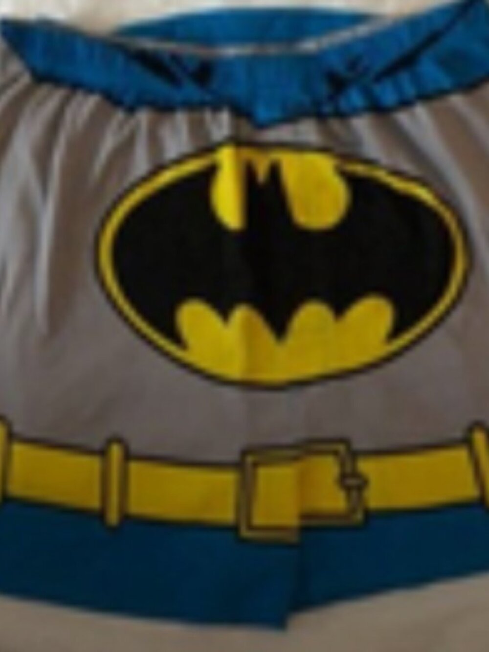 Boxer shorts Batman & cape mens mmew size L waist (36-38") Briefly Stated